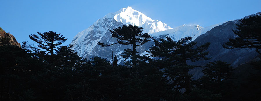 Sikkim & Kanchenjunga Trek